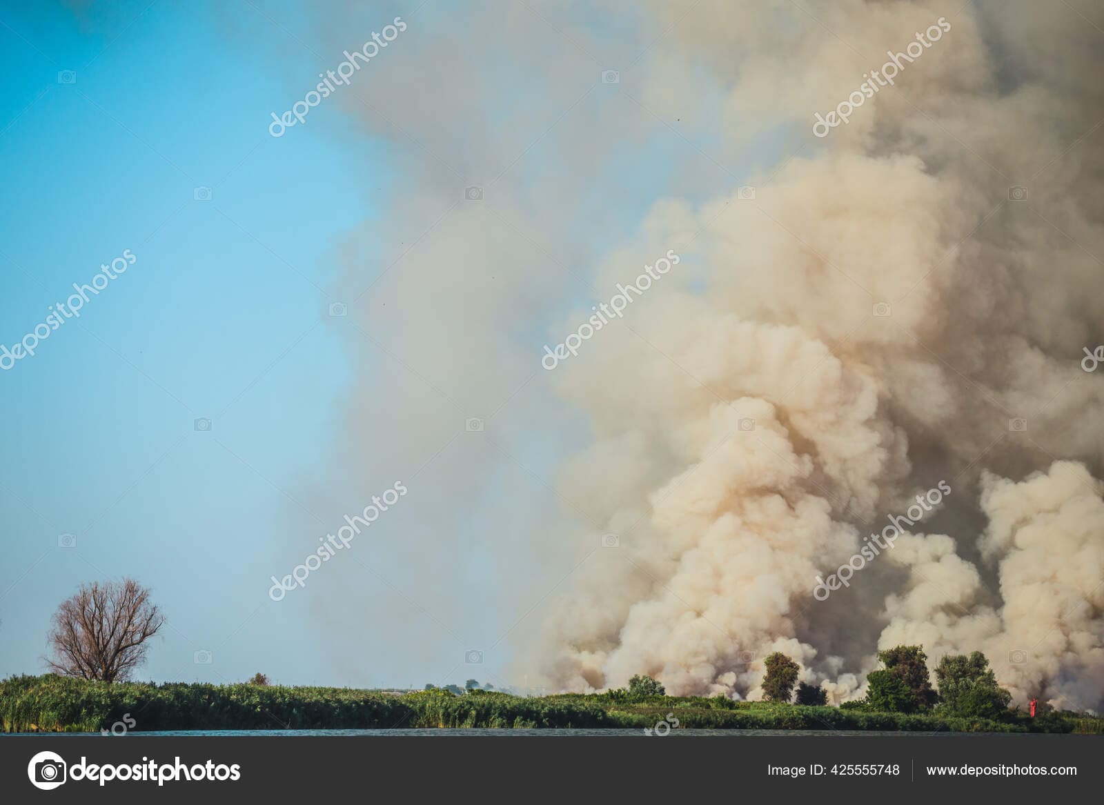 Large clouds of smoke, fire in nature