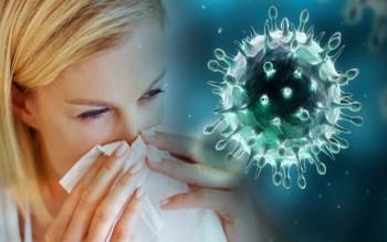 Gripi h1n1