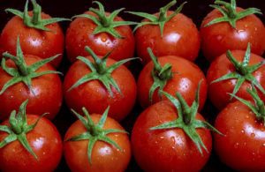 Tomato g9e0fb5525 1280