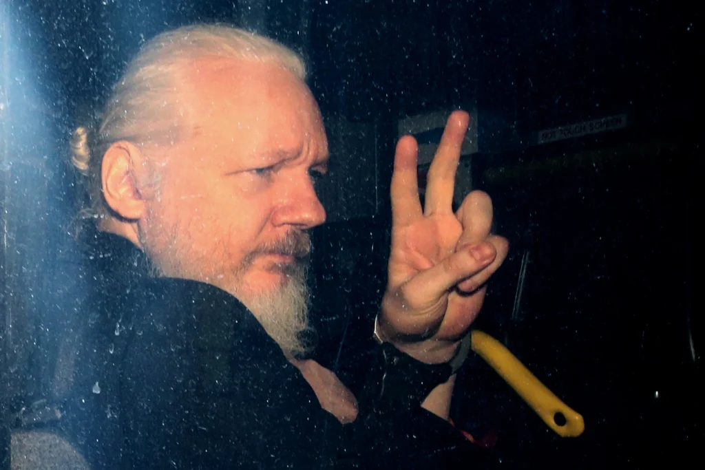 Assange wikileaks