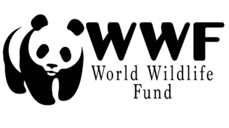 World wildlife fun wwf