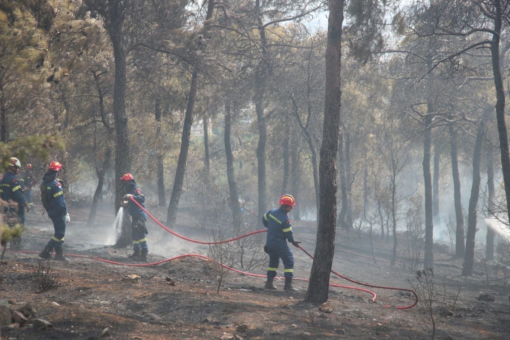 [354793] ΘΕΣΣΑΛΟΝΙΚΗ / ΠΥΡΚΑΓΙΑ ΣΤΟ ΔΑΣΟΣ ΤΟΥ ΣΕΙΧ ΣΟΥ (ΒΑΣΙΛΗΣ ΒΕΡΒΕΡΙΔΗΣ / motion team)