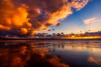 Seascape beauty light sunlight autumn fliey yorkshire october sunrise thumbnail